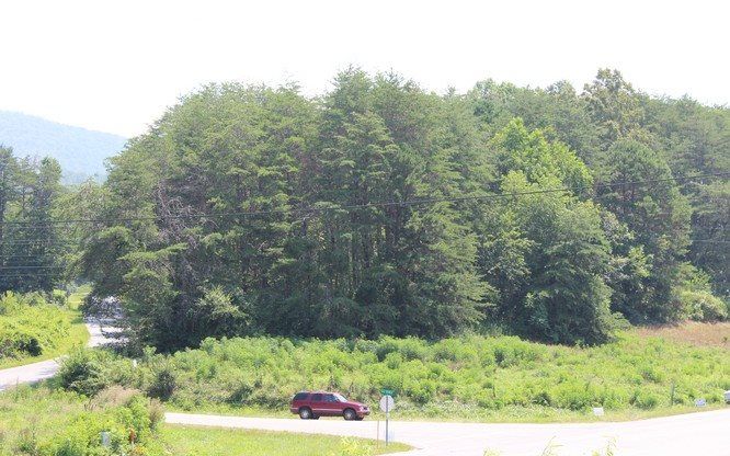 HWY 64 E-COLD BRANCH: Hwy 64 E-Cold Branch, Hayesville, NC 28904